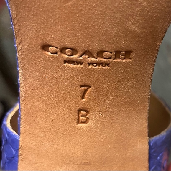 Coach Lexy Blue Textured Sandals With Chunky Heel Women’s Size 7 - Picture 3 of 9